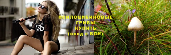 скорость Белокуриха
